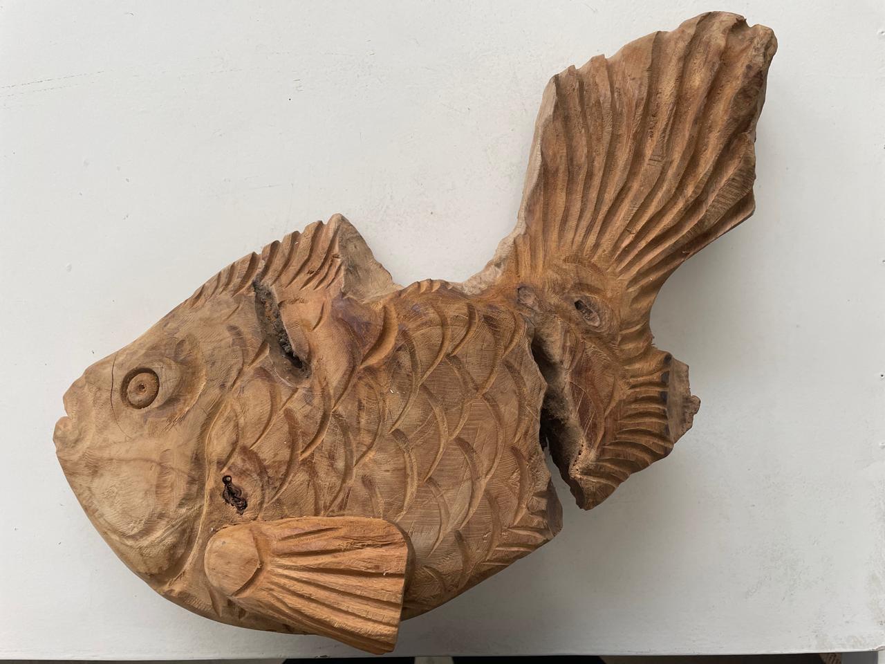 FISH (ZIMBABWE) 45L