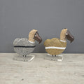 DODO (SOUTH AFRICA) 14H