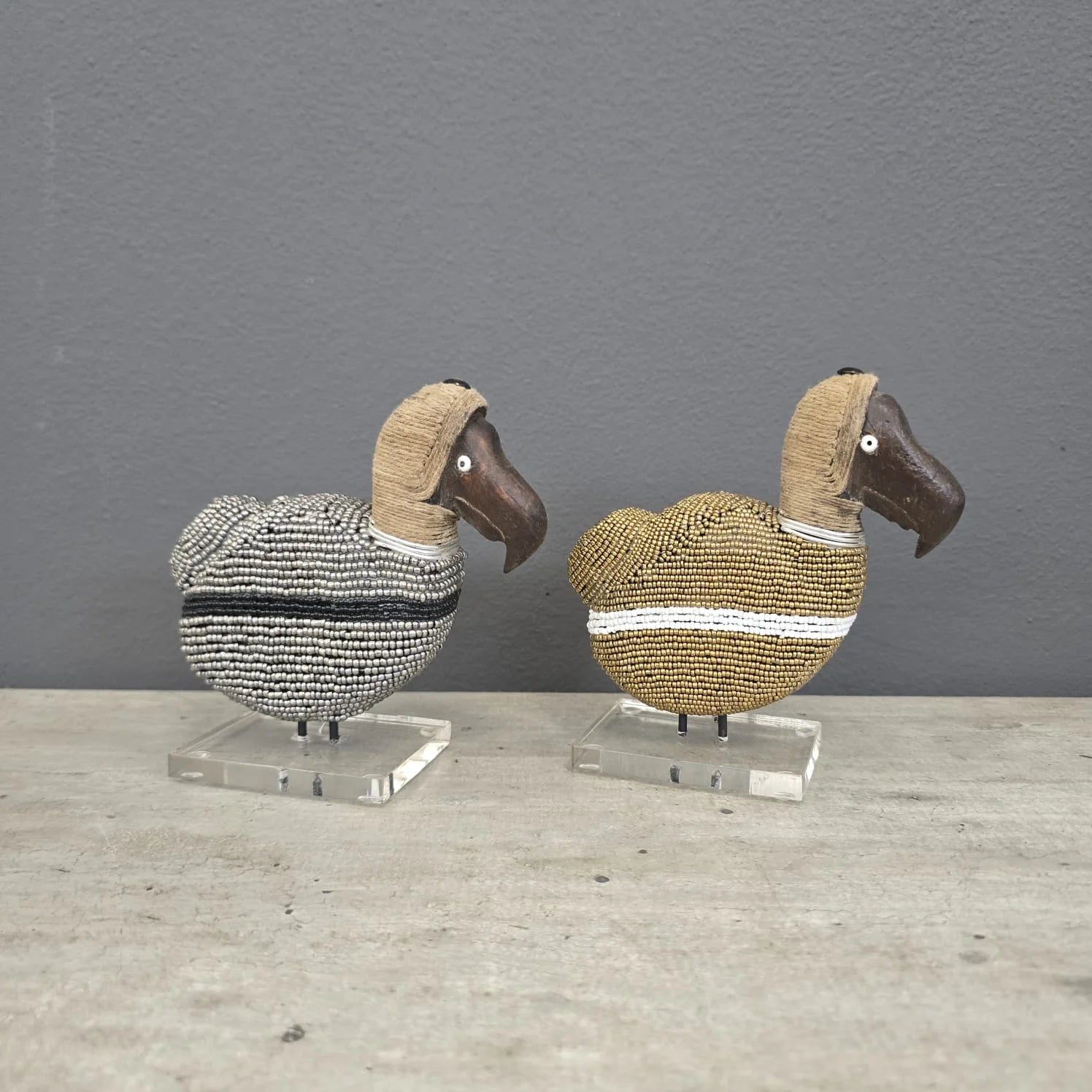 DODO (SOUTH AFRICA) 14H