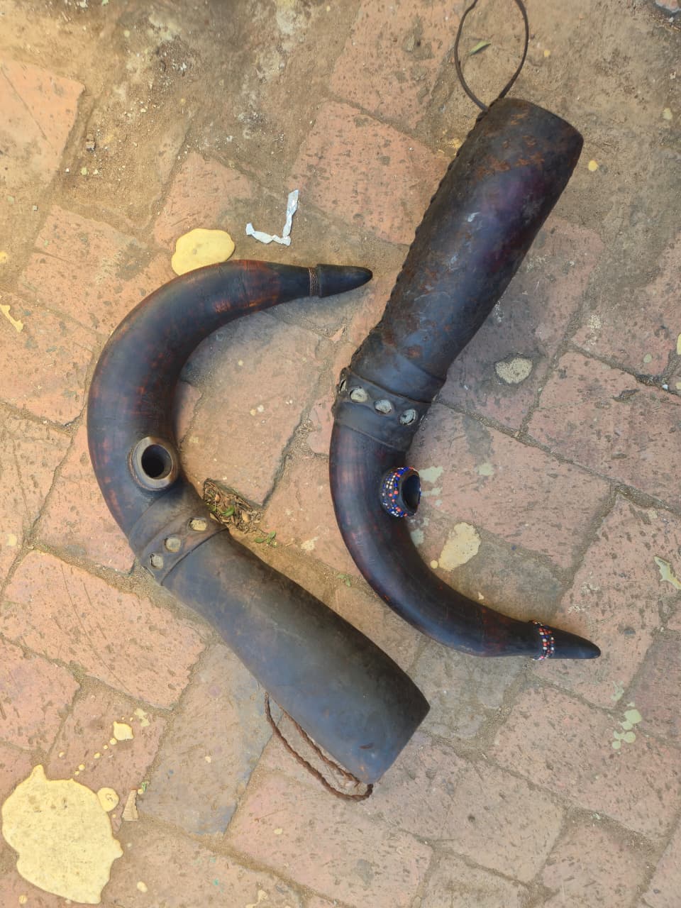 DINKA HORN (SUDAN) 50H