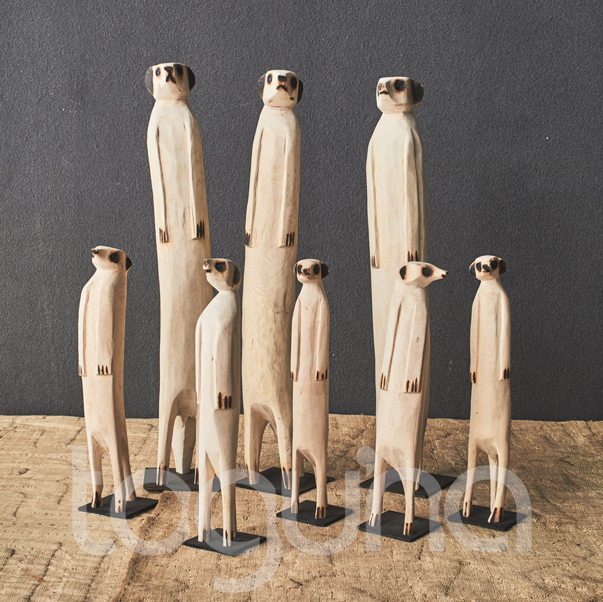 MEERKAT (SWAZILAND) 40H