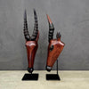 PUKU ANTELOPE HEAD (ZAMBIA) 40H