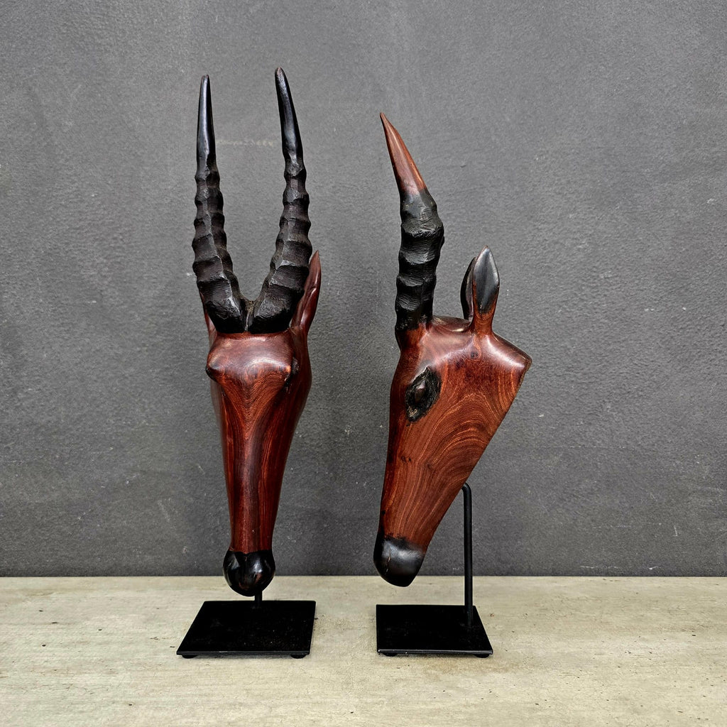 PUKU ANTELOPE HEAD (ZAMBIA) 40H