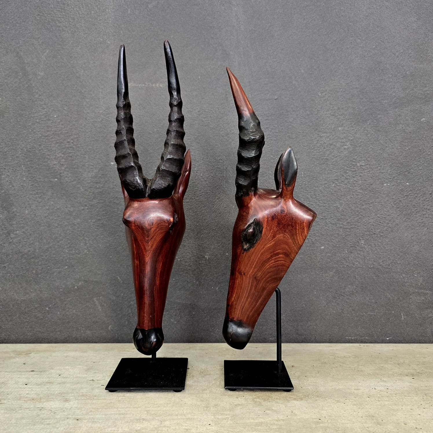 PUKU ANTELOPE HEAD (ZAMBIA) 40H