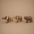 ELEPHANT (ZAMBIA) 12L