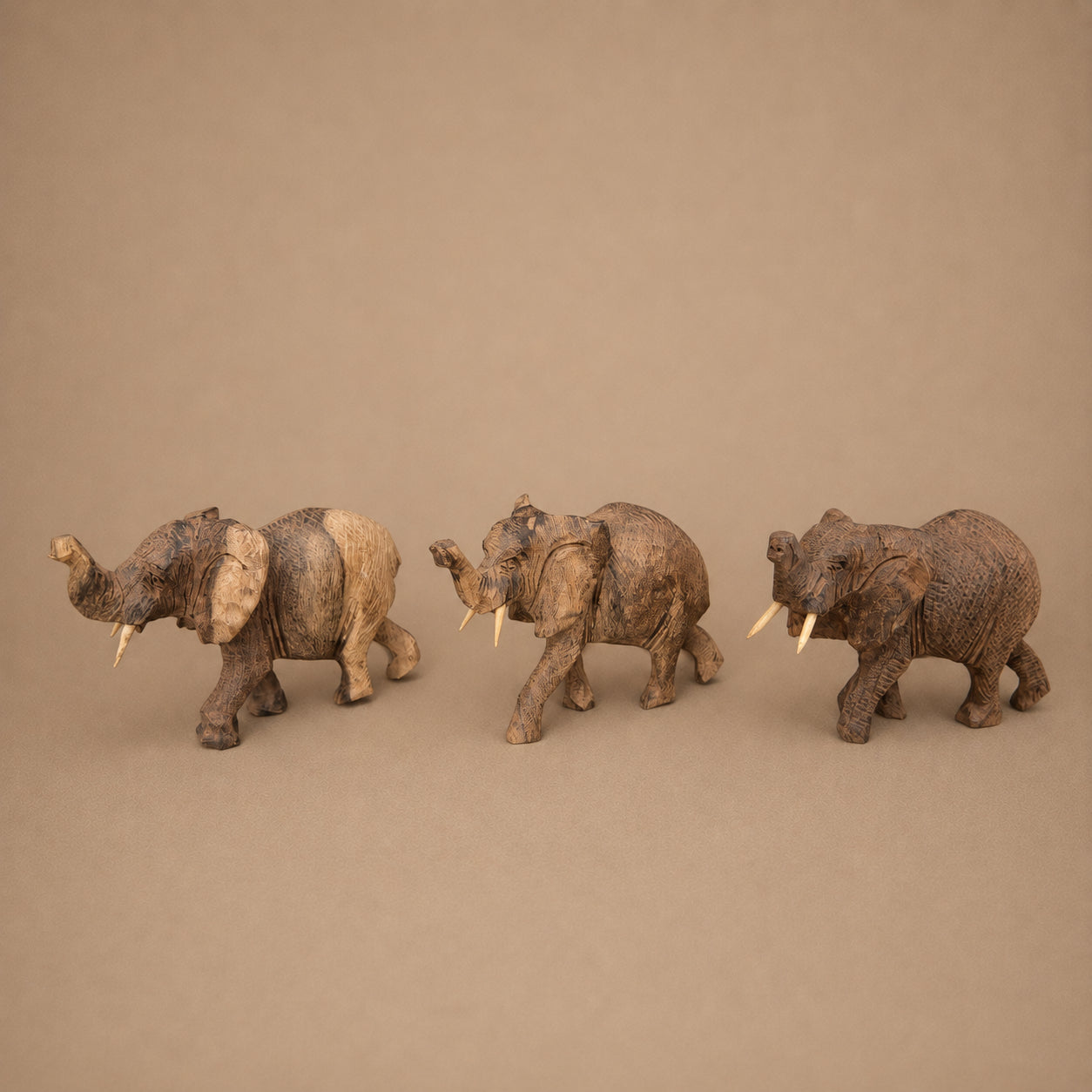 ELEPHANT (ZAMBIA) 12L