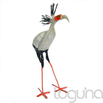 PAINTED SEEDPOD BIRD AFRICAN PENGUIN
