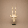 GEMSBOK HEAD (SWAZILAND) 70H