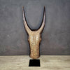 BAMBARA BULL HEADDRESS (MALI) LRG