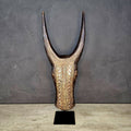 BAMBARA BULL HEADDRESS (MALI) LRG