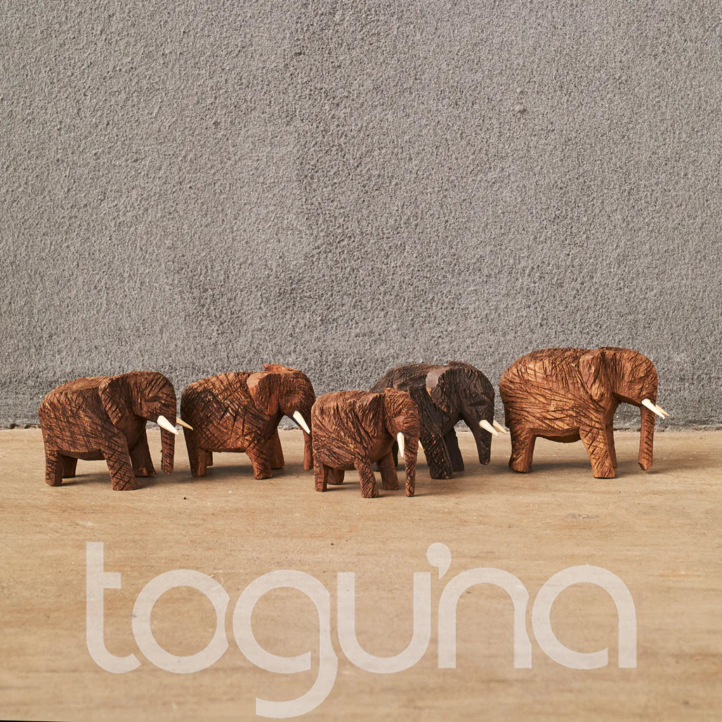 ELEPHANT (NAMIBIA) 7H