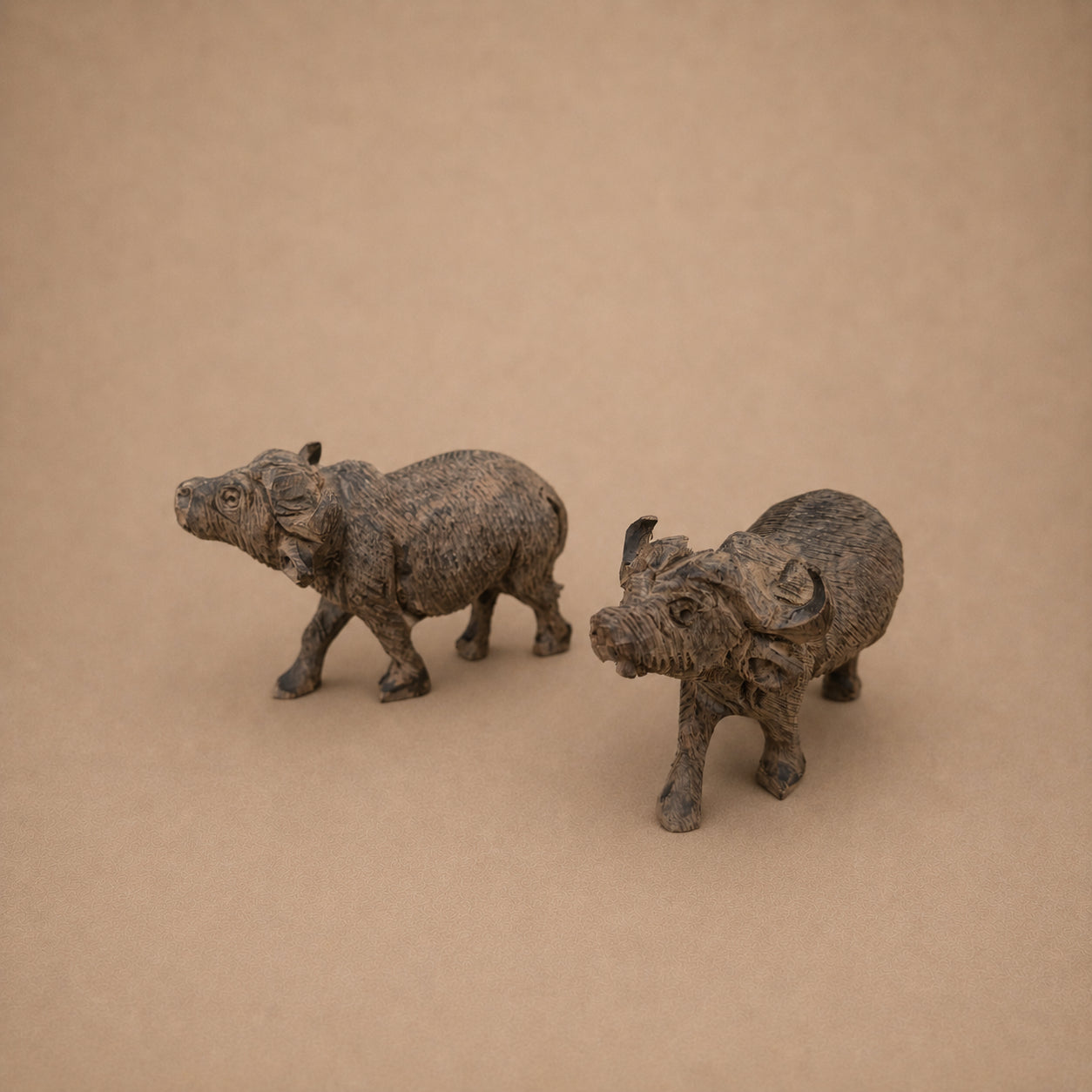 BUFFALO (ZAMBIA) 12L