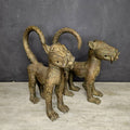 BENIN LEOPARD (BENIN/NIGERIA) 40H