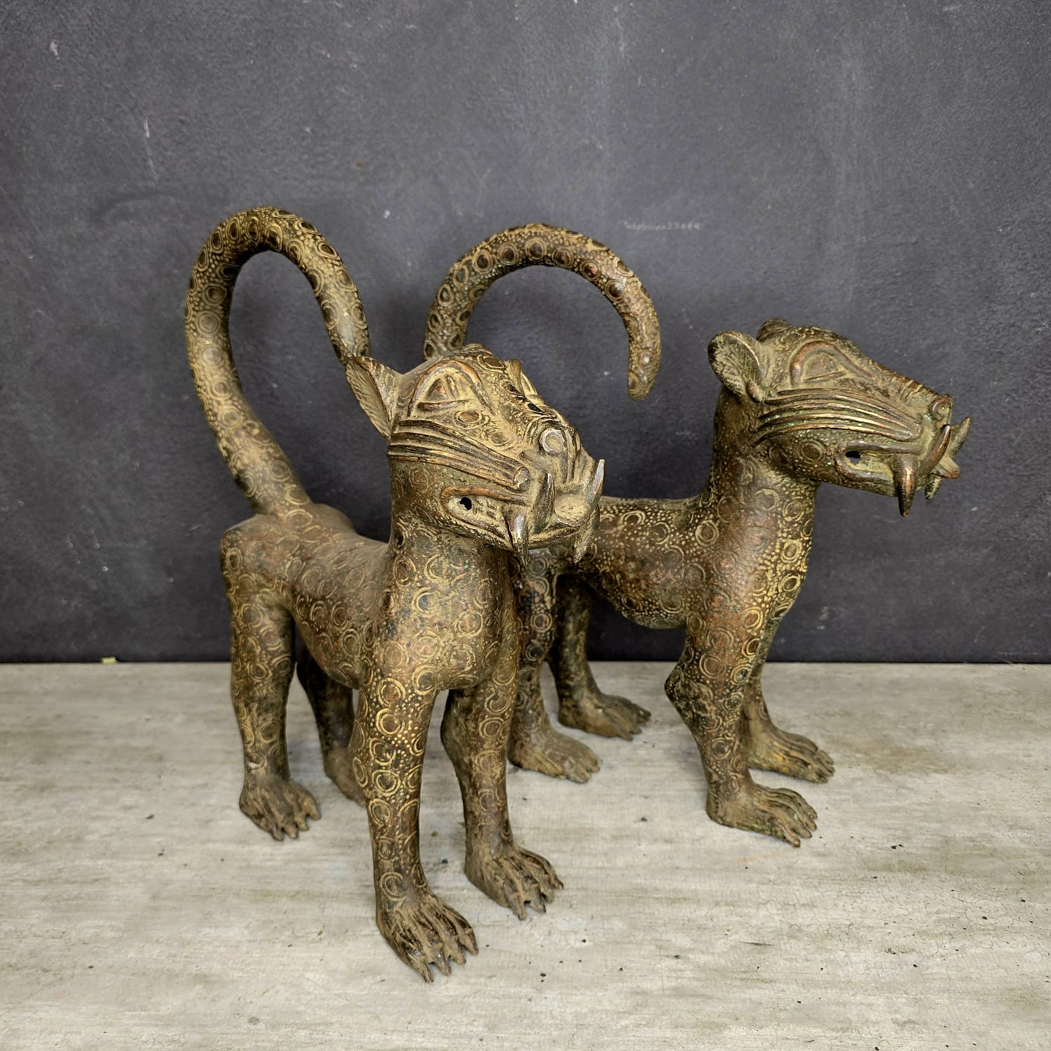 BENIN LEOPARD (BENIN/NIGERIA) 40H