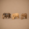 ELEPHANT (KENYA) 7H
