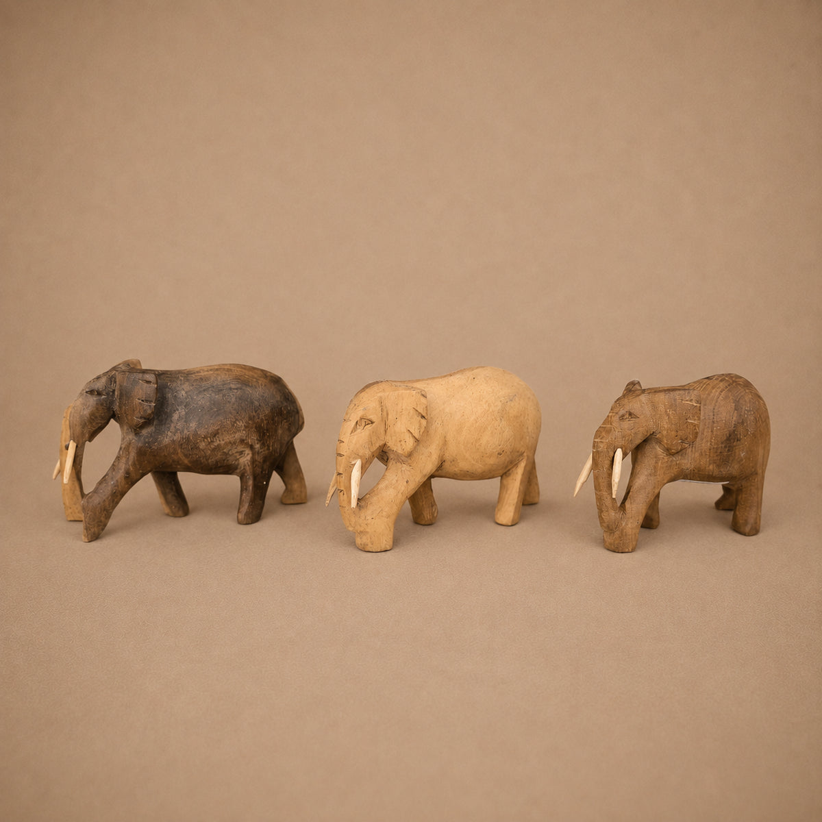 ELEPHANT (KENYA) 7H