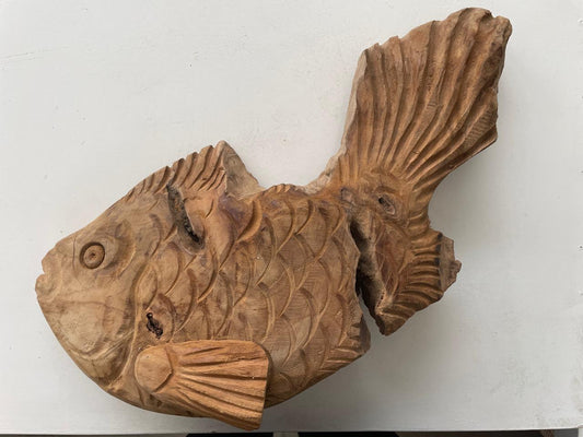 FISH (ZIMBABWE) 45L
