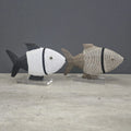 FISH (SOUTH AFRICA) CLASSIC 25L
