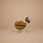 DODO (SOUTH AFRICA) 17H