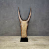 BAMBARA BULL HEADDRESS (MALI) MED