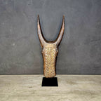 BAMBARA BULL HEADDRESS (MALI) MED