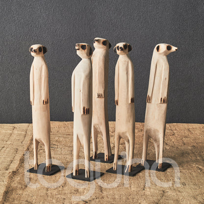 MEERKAT (SWAZILAND) 40H
