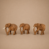 ELEPHANT (NAMIBIA) 10H