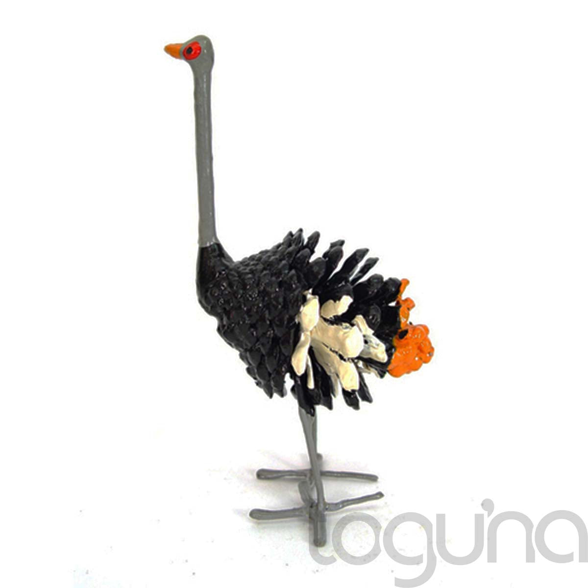 PAINTED SEEDPOD BIRD AFRICAN PENGUIN