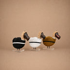 DODO (SOUTH AFRICA) 14H