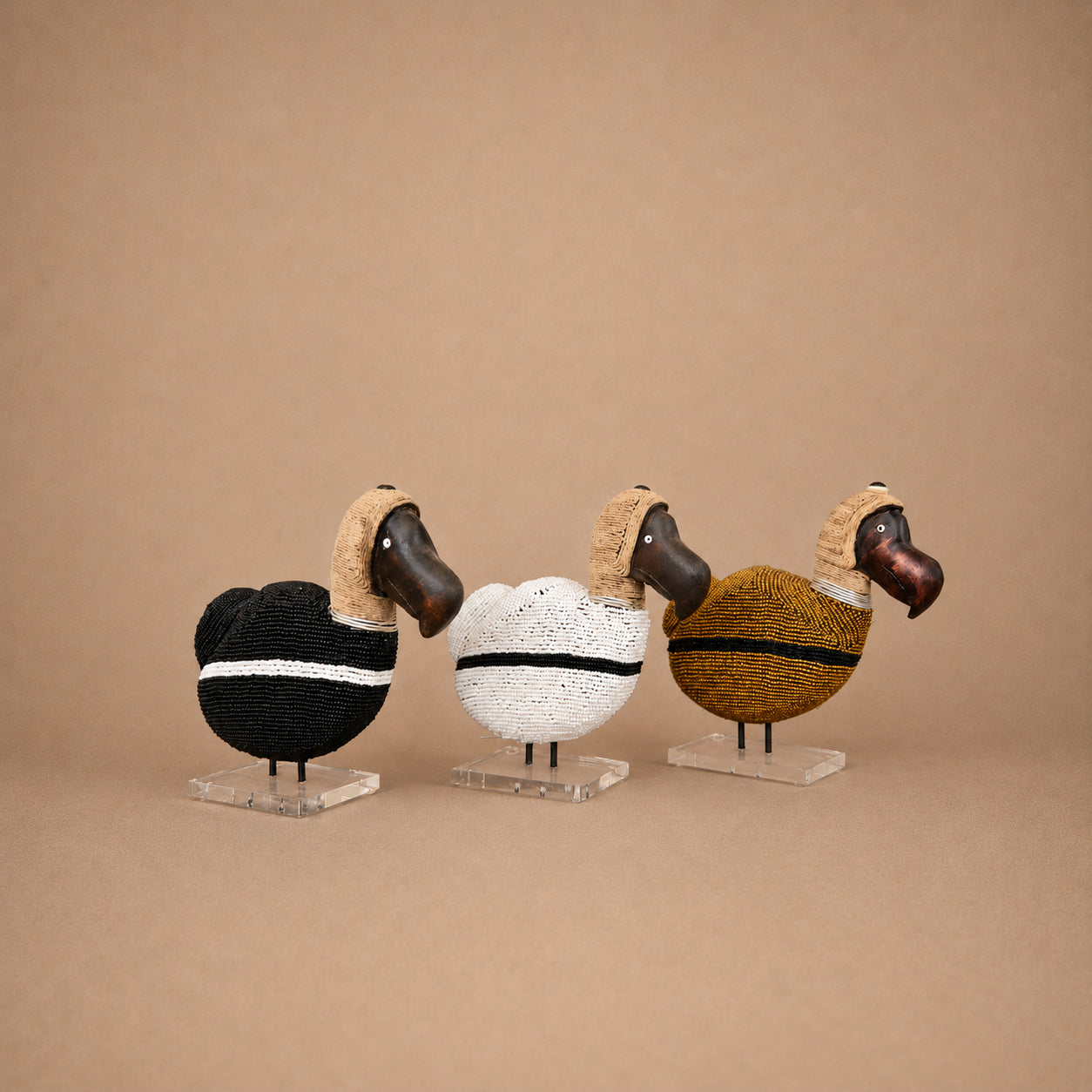 DODO (SOUTH AFRICA) 14H
