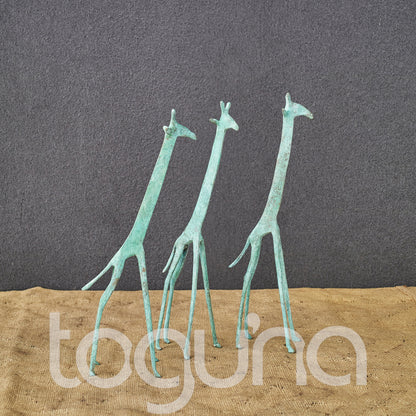 TUAREG GIRAFFE (NIGER) 20H