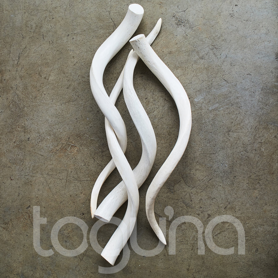 KUDU INNER BONE (SOUTH AFRICA) 60L POLISHED