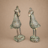 BENIN CHICKEN (NIGERIA) 20H