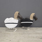 DODO (SOUTH AFRICA) 17H