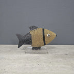 FISH (SOUTH AFRICA) CLASSIC 25L