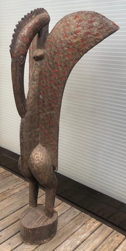 SENUFO BIRD (IVORY COAST) 50H