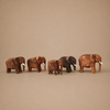 ELEPHANT (NAMIBIA) 7H