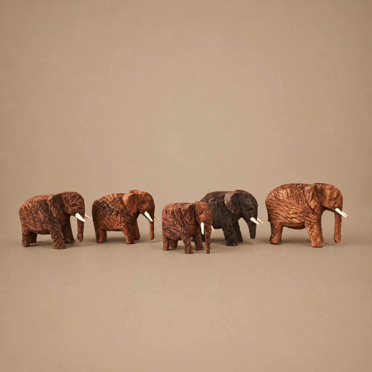 ELEPHANT (NAMIBIA) 7H