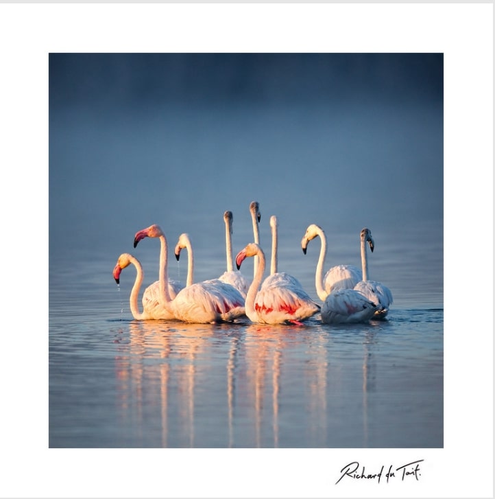 DAVID BALLAM FRAMED PRINT LUBANGO 80L 120H